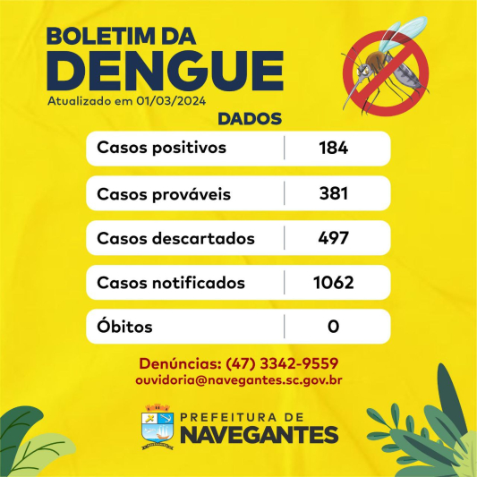 Boletim da Dengue - nº 003/2024
