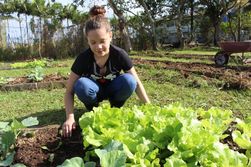 Escola da Volta Grande realiza projeto de horta escolar comunitária