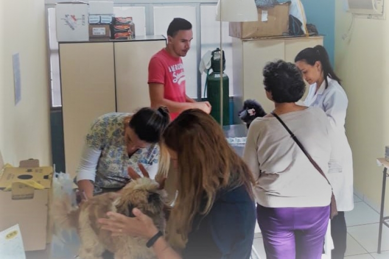 Campanha de Imunização: Mais de 100 doses de vacinas são aplicadas em cães e gatos  