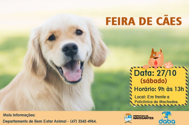 Feira de Adoção de Cães acontece neste sábado em Machados
