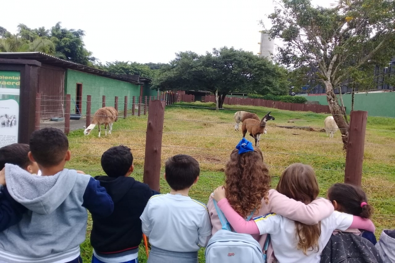 Crianças da Meia Praia visitam zoológico em Balneário Camboriu 