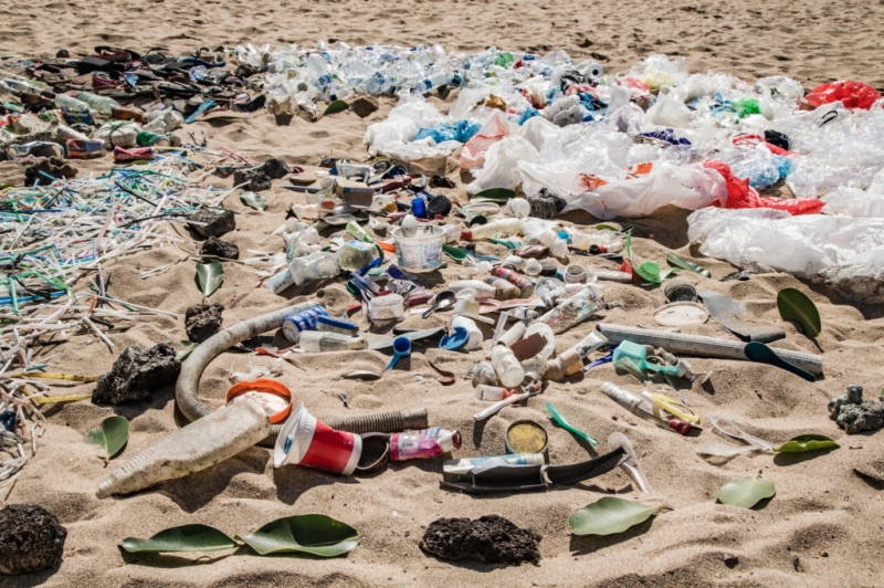 AMFRI promove consulta pública sobre o Combate ao Lixo no Mar