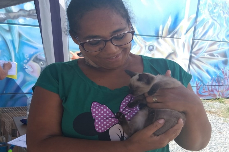 Filhotes felinos foram adotados na feira de adoção