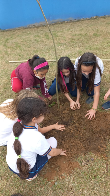 Instituto Ambiental de Navegantes promove plantio de árvores