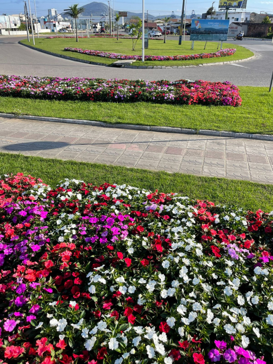 Prefeitura realiza plantio de 20 mil mudas de flores em canteiros públicos