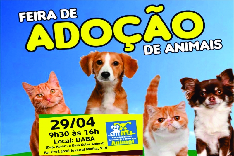 Feira de adoção de animais acontece neste sábado (29)